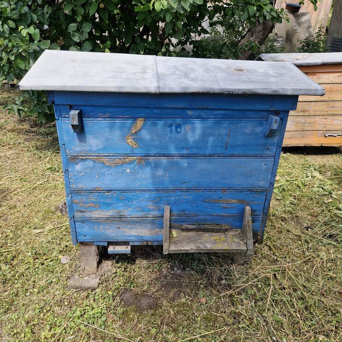 Ule warszawskie poszerzane solidne