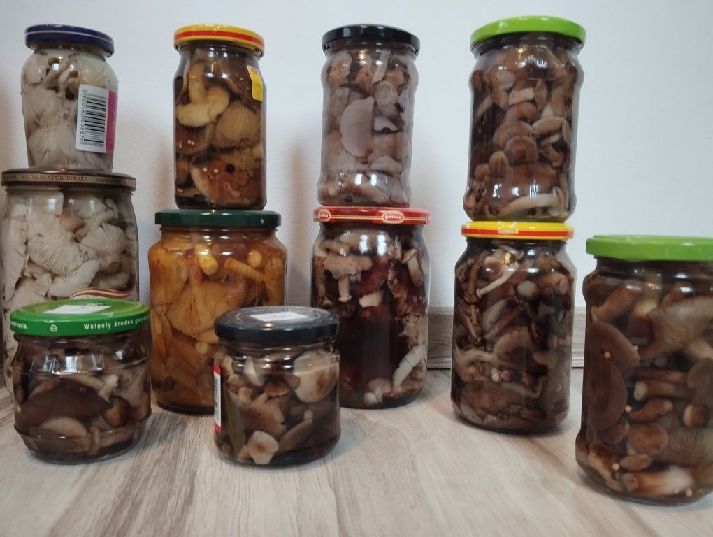 Грибы маринованные вешенка,опята,польский,говорушка,зеленушка,рядовка