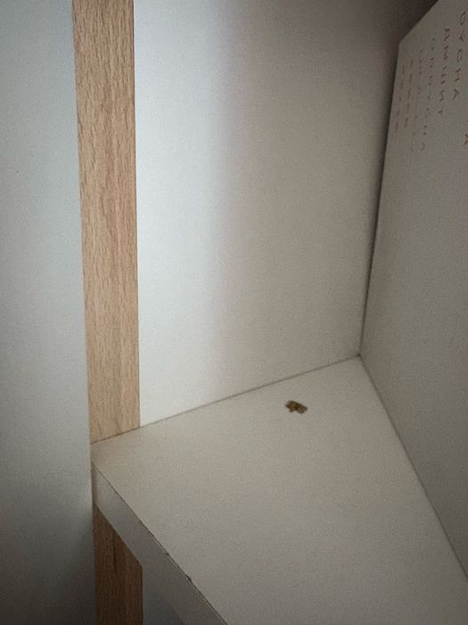 Meble dla dzieci Szafa i komoda zestaw brw Timon