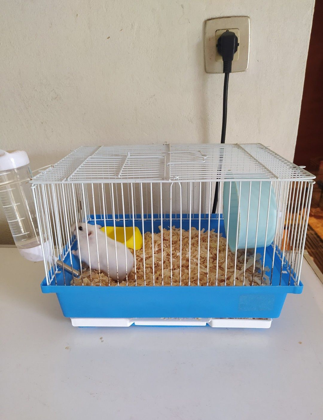 Casotas de hamsters