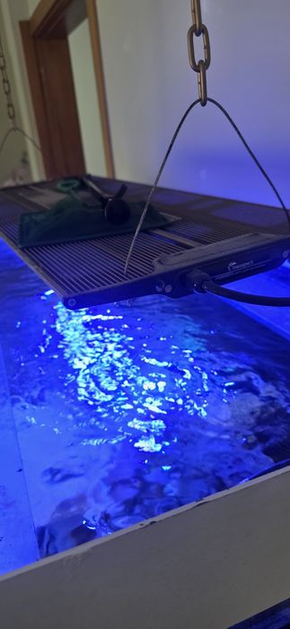 Aquário de água salgada Completo