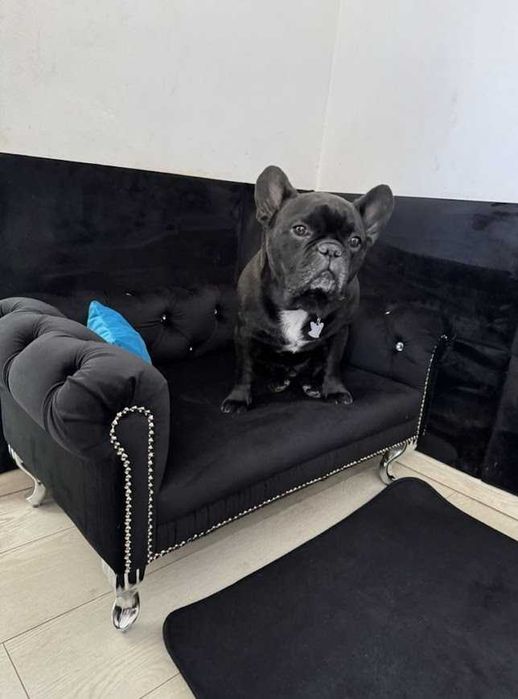 Duże legowisko Chesterfield glamour dla psa kota