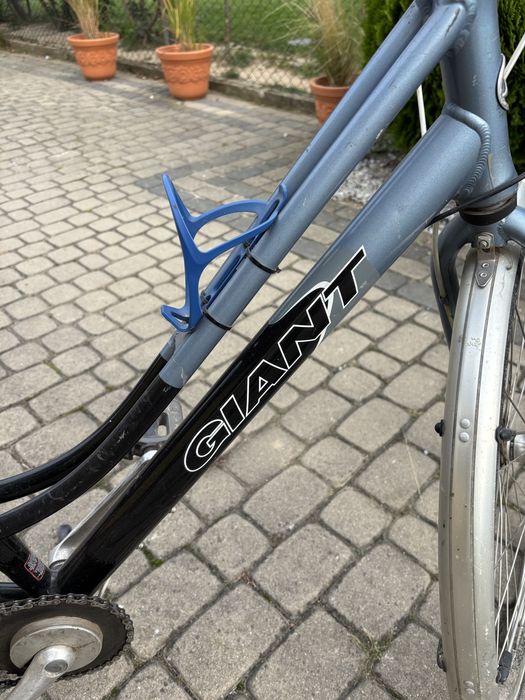 Rower Giant Melbourne