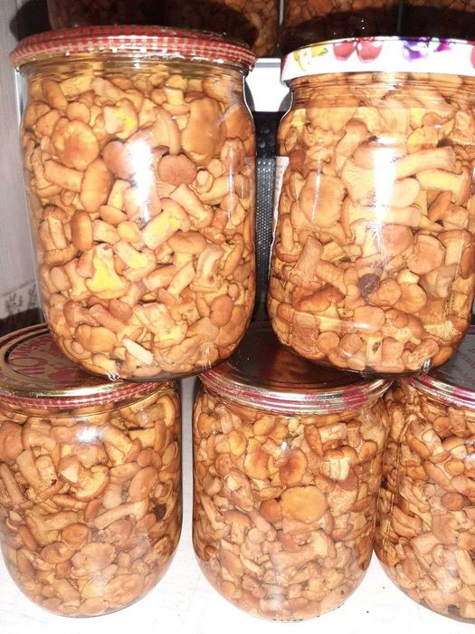 Гриби мариновані лисички