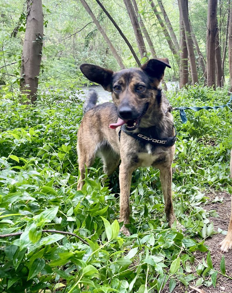 A Lua adora criancas e é muito meiga
