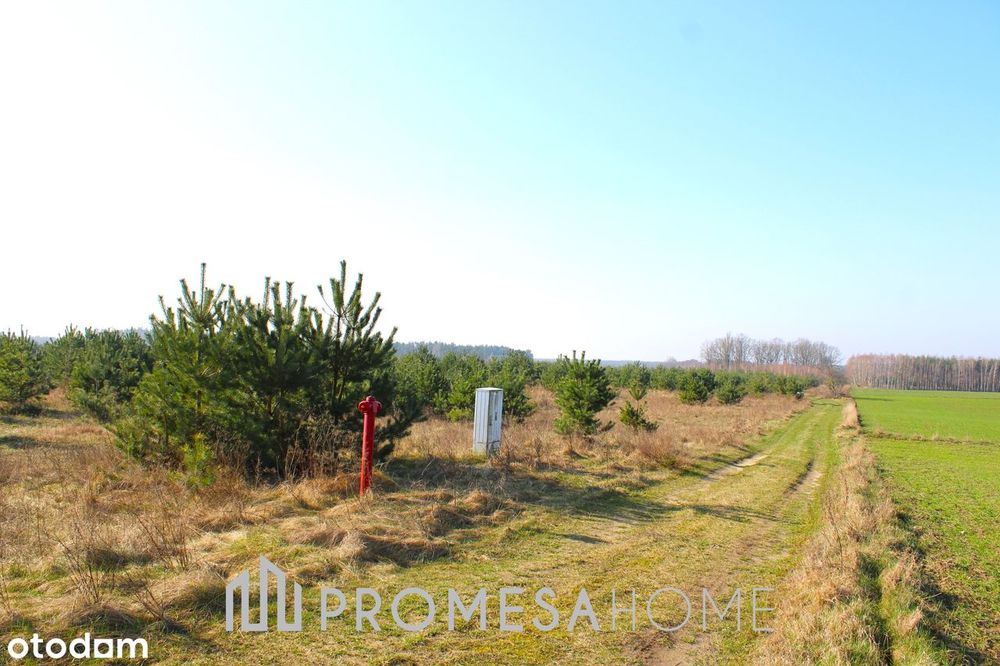 Karczewko działki budowlane media MPZP blisko jeziora lasu 70zł/m2