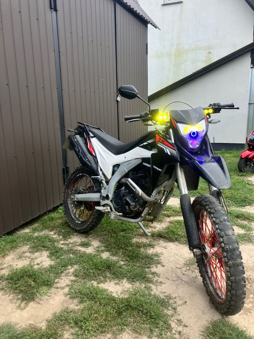 Продам лося 250 стан непоганий