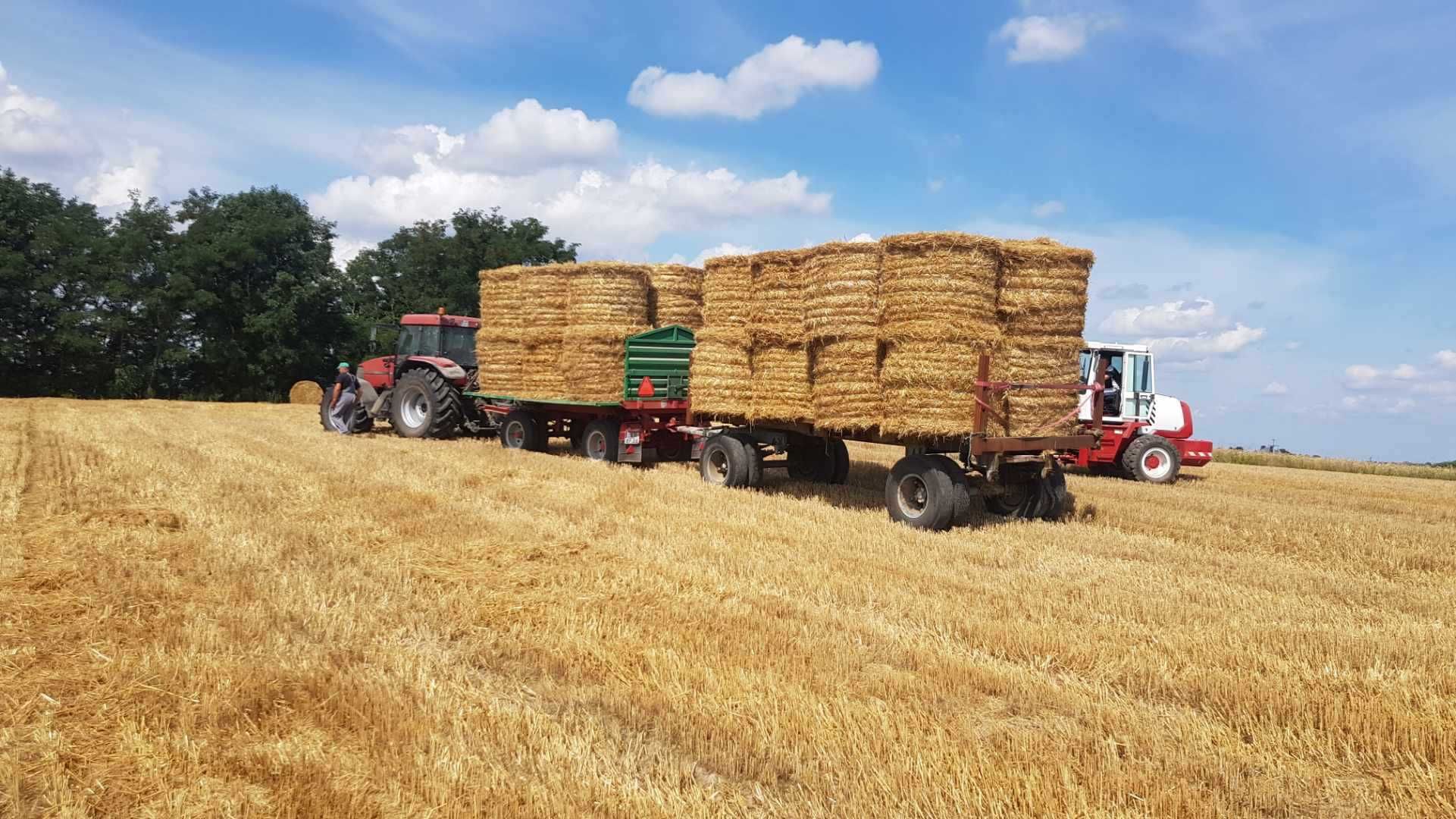 Sprzedam słomę .