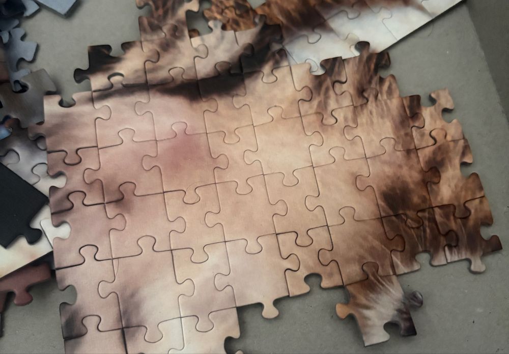 Puzzle Trefl kot