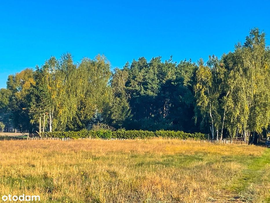 Działka pod Stajnie !SPA !Kasyno ! DUŻE MOŻLIWOŚCI