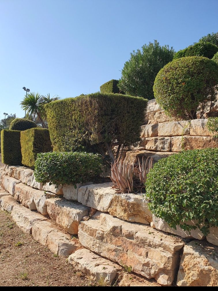 Serviço de jardinagem