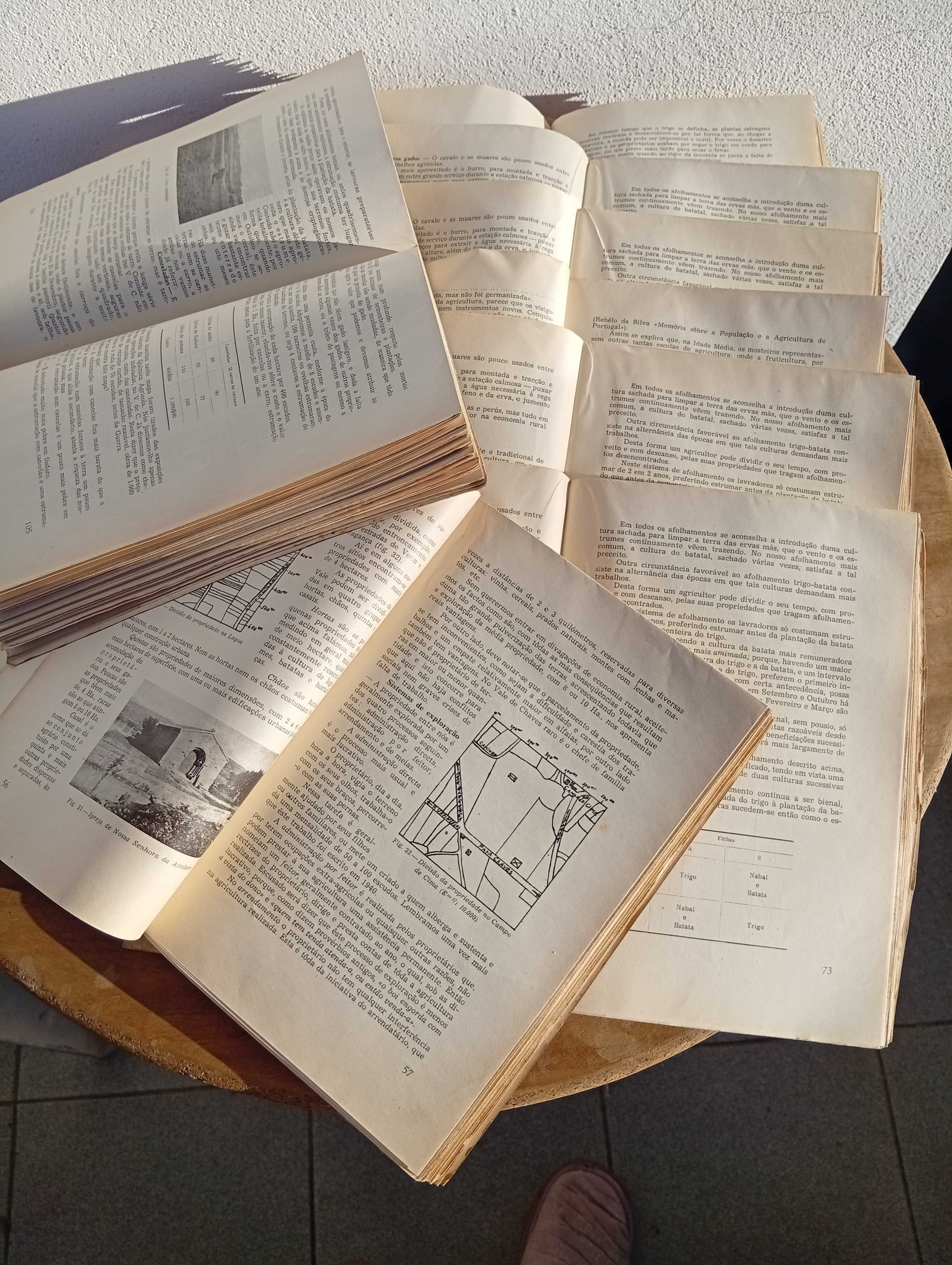 Oito Livros/monografias, vintage, 1944, de Júlio T. Montalvão