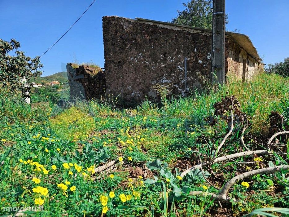 Algarve, Silves! Terreno de cultura arvense, com urbano: Urbano da ...