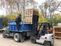 Дрова p660 дуб, ясен, тополя, сосна, акація