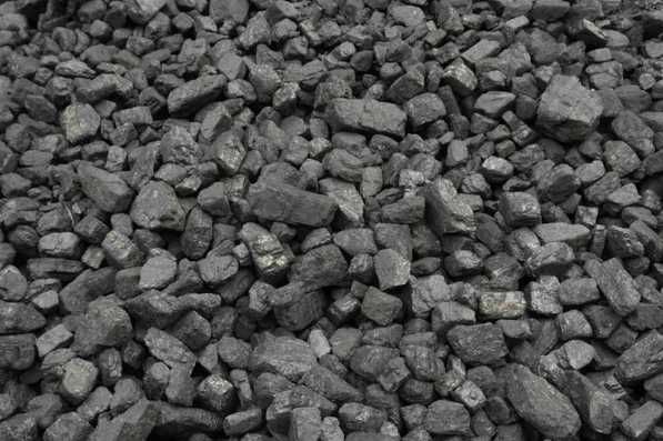 Вугілля кам'яне у мішках ДГ 13-100 ICOAL — Софіївська Борщагівка