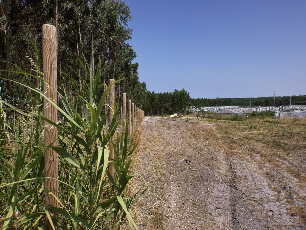 TERRENO para construção com PROJETO APROVADO - A 5min de SANTA CRUZ