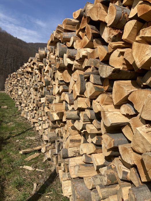 Drewno opałowe kominkowe buk brzoza dąb brykiet świerk