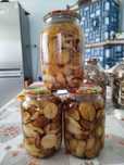 Продам гриби мариновані і сушені