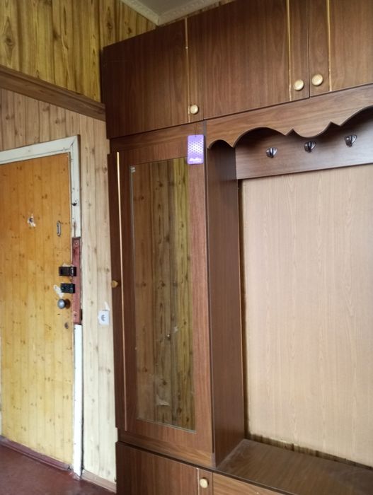 Продам 1 кімнатну квартиру на 5 Зарічному.