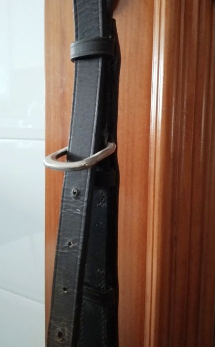 Rabicheira para cavalo