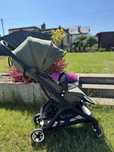 Bugaboo butterfly kolor forest green
