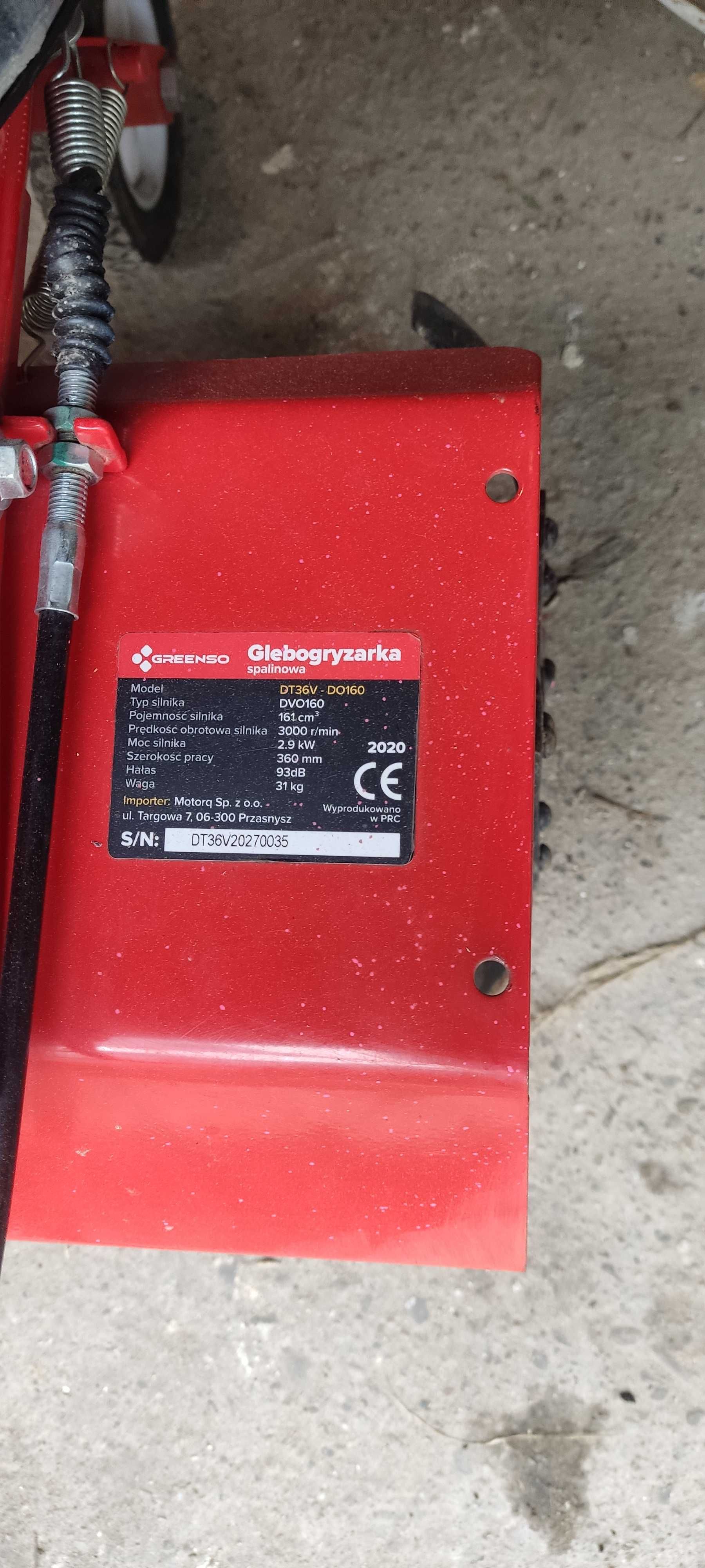 Glebogryzałka Greenso