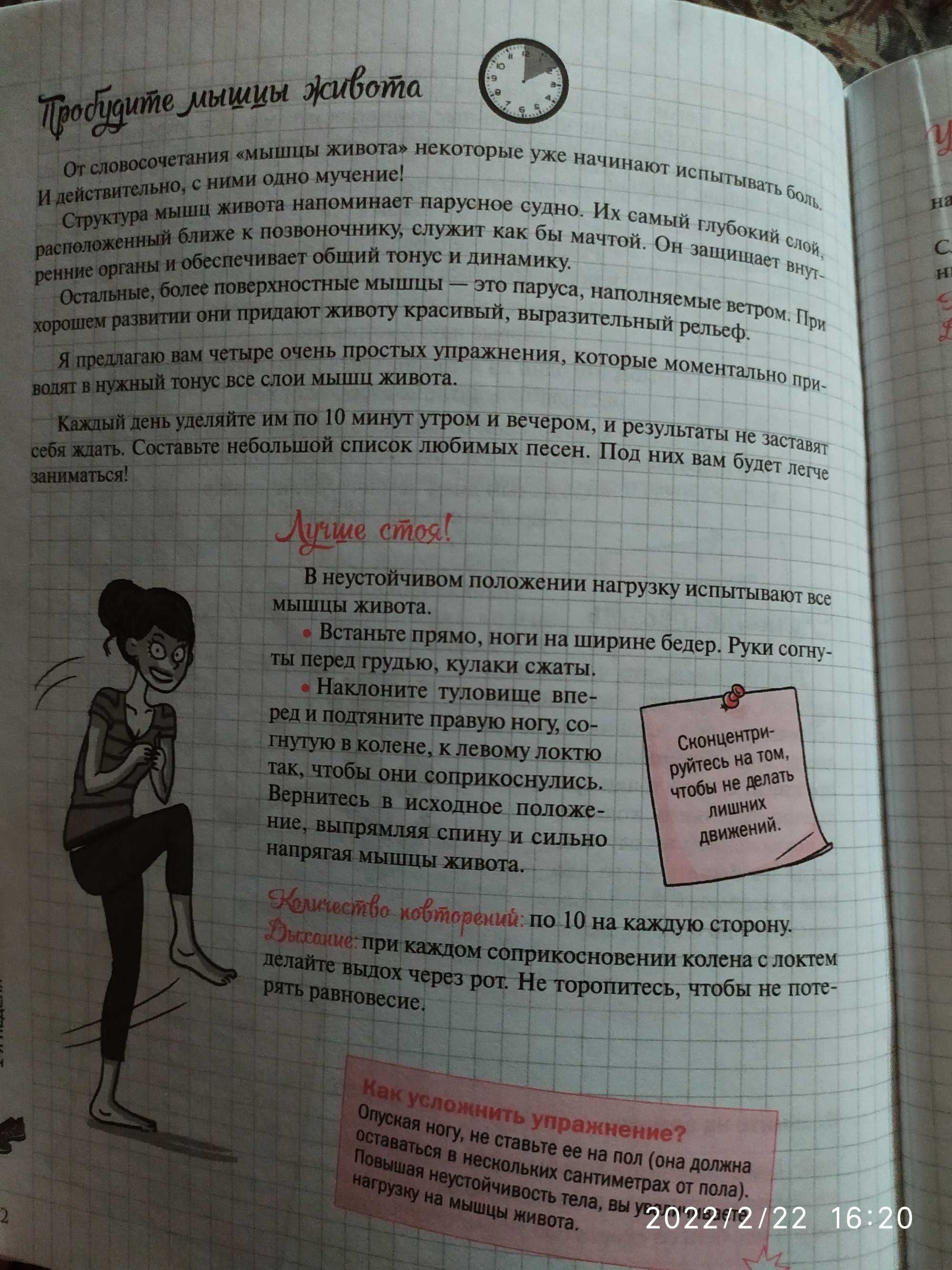 Мой блокнот. Плоский животик