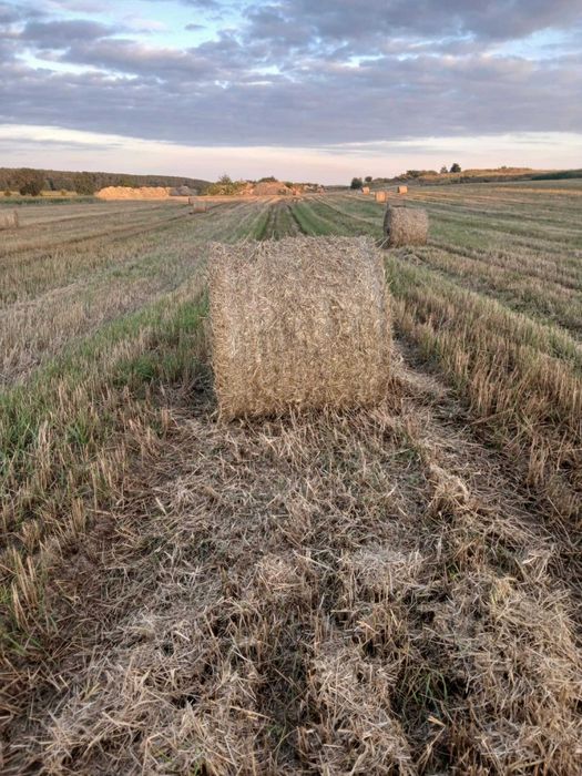 Prasa belująca Massey Ferguson 822
