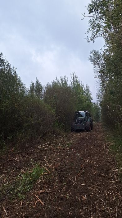 Wycinka mulczowanie karczowanie mulczer leśny mulczowanie rębak