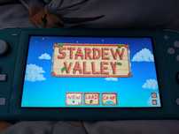 stardew valley switch