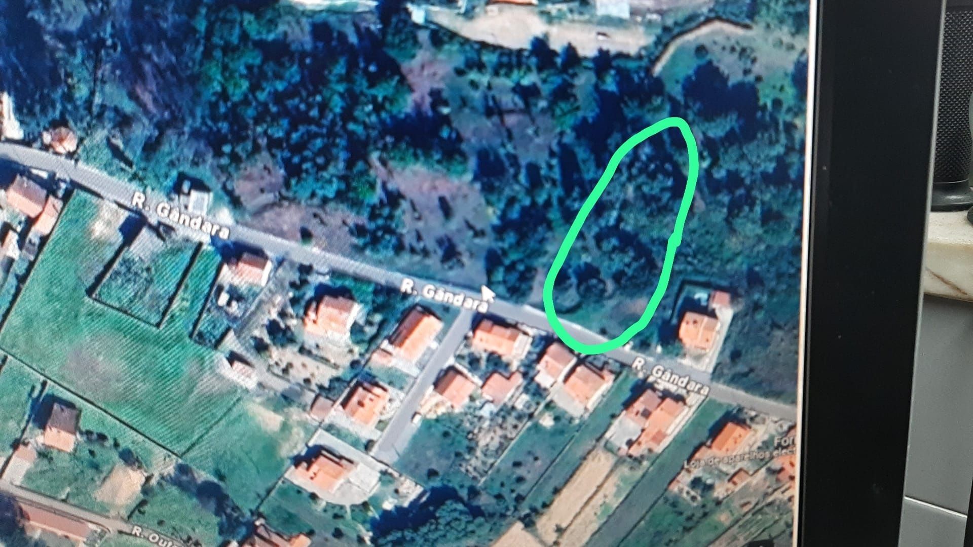 Terreno urbano coja