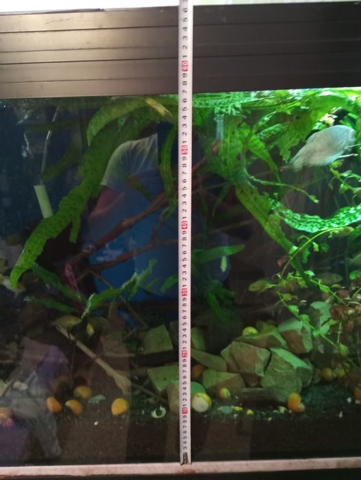 Акваріум ..б/ у в хорошому стані