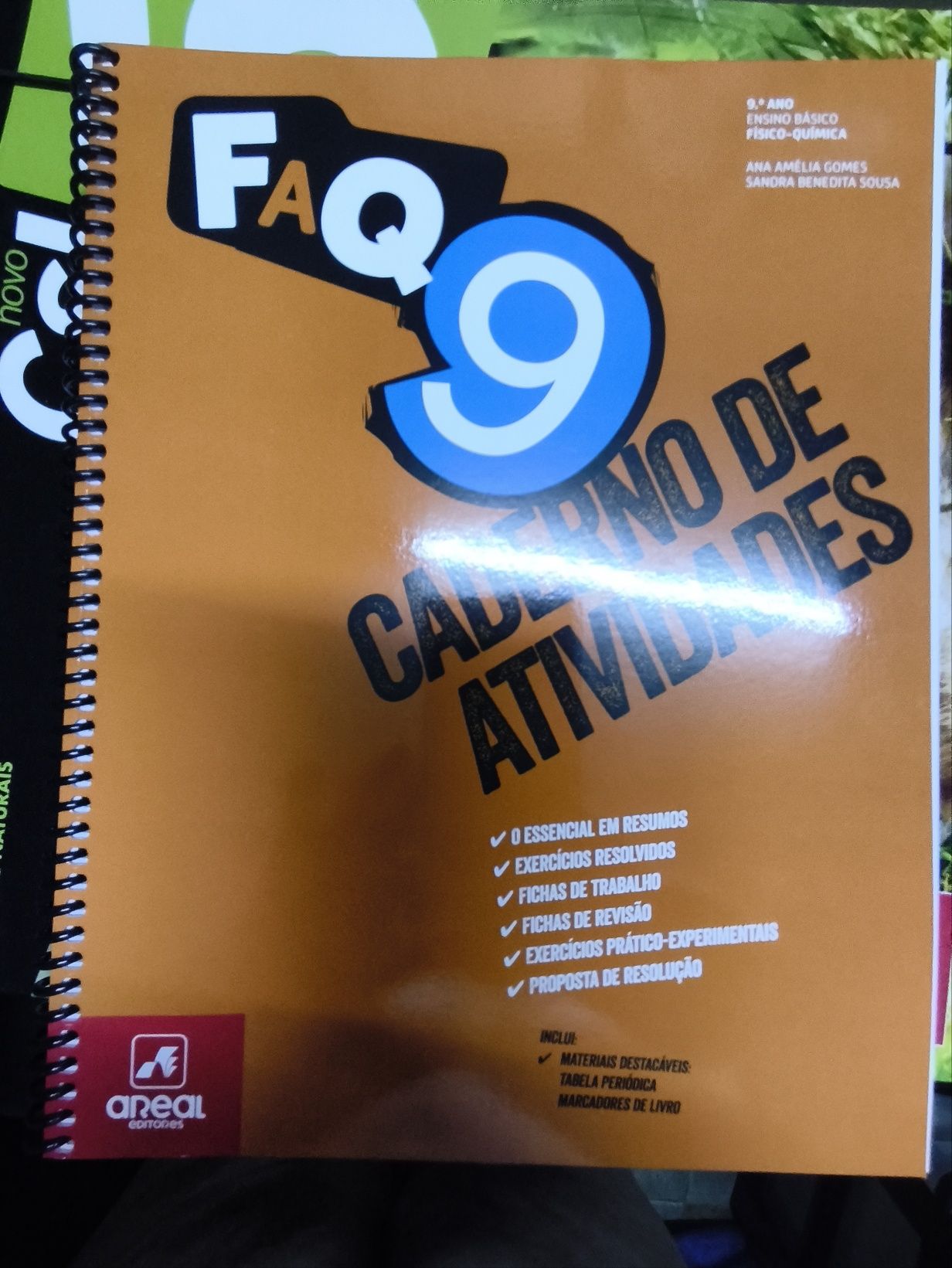 FAQ 9 (manual e ca do professor+fichas e testes extra) COM SOLUÇÕES
