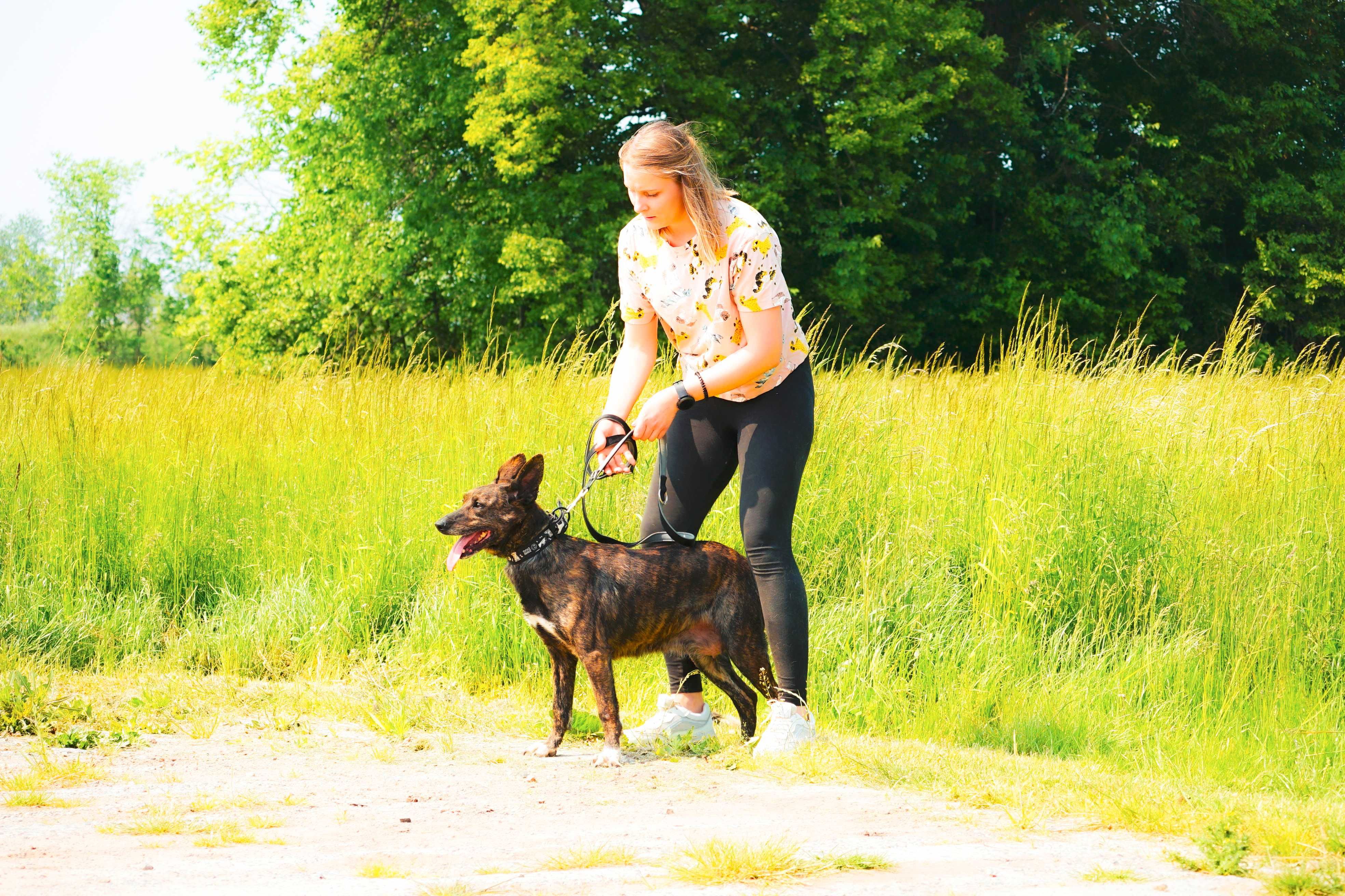 Adora wesoła i kochana sunia czeka na dom