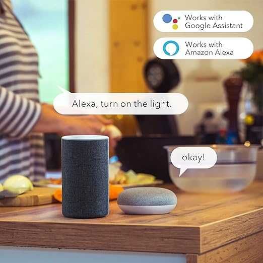 Gniazdo Wi-Fi HBN Smart Plug współpracuje z Alexa Echo i Google Home