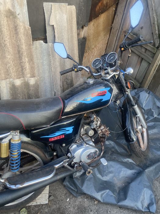 Продам хозяйскую Альфу