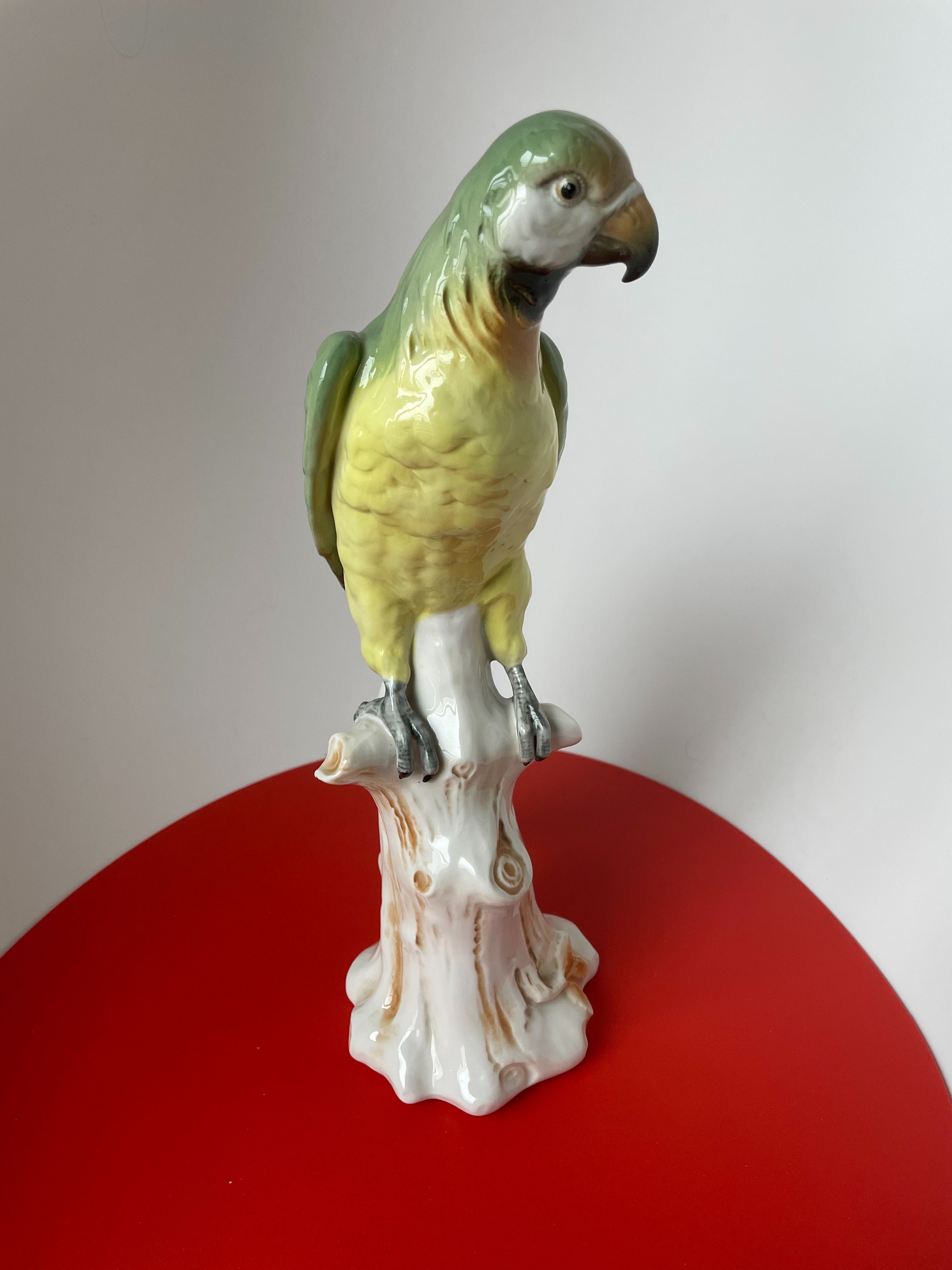 Papuga dekoracyjna Westwing- Nowa