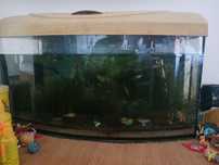 Akwarium 64l plus osprzet