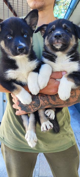 Класні симпатичні міцні