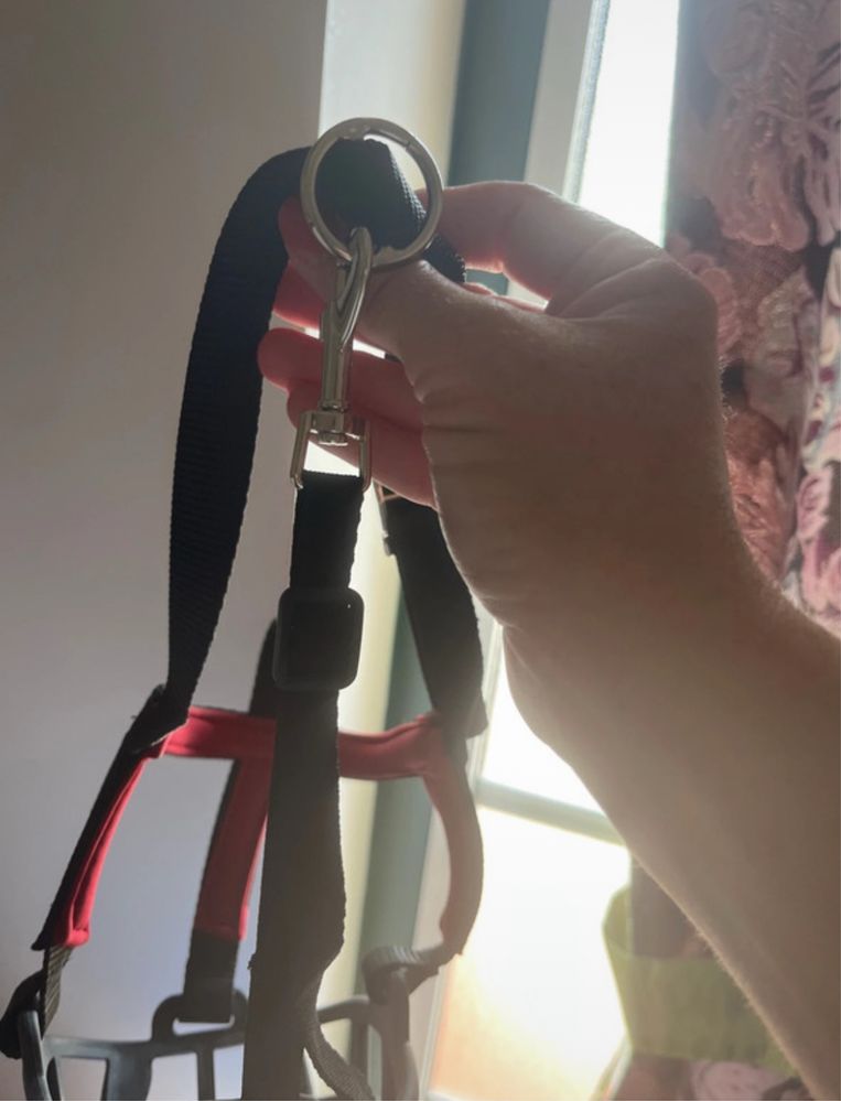 Açaime para cão KL com abertura