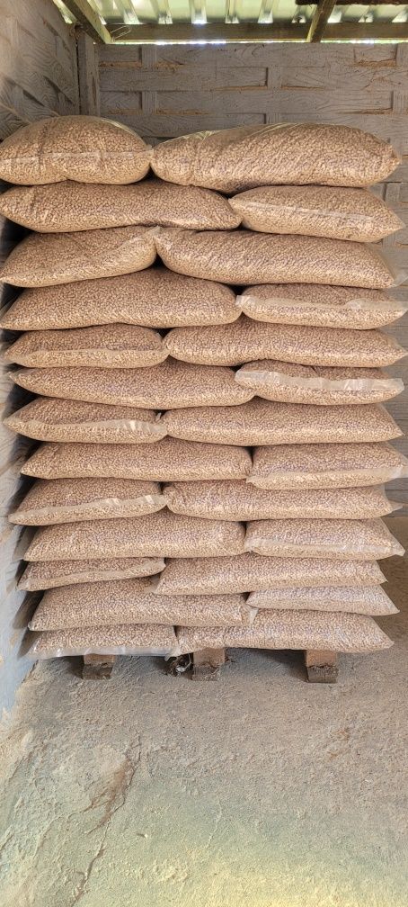 Pelet pellet 6mm