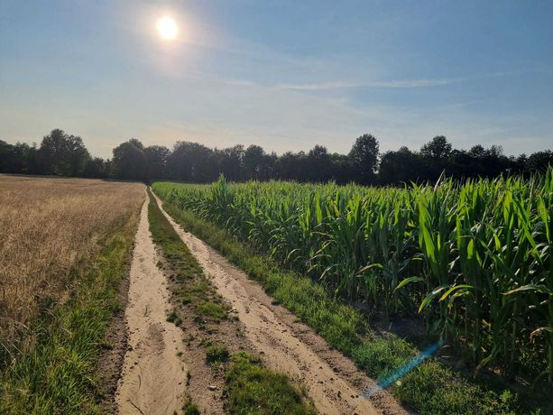 Działka rolna, Przemęt