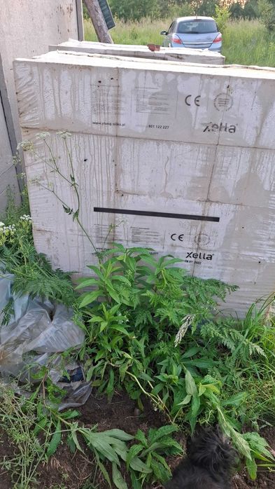 Na sprzedaz 2 palety silki