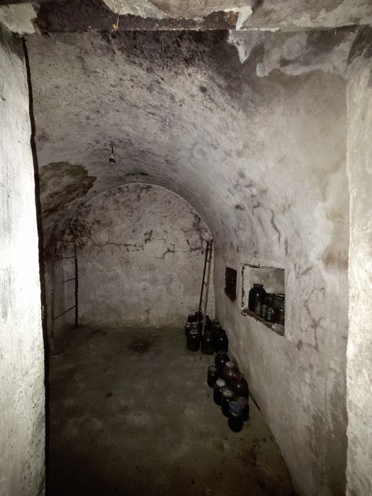 Продаж ділянки 14 сот з будинком 35 м² в Станишівці