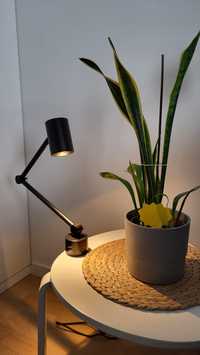 Lampka biurkowa IKEA NYMÅNE
Lampa biurkowa/ścienna, antracyt