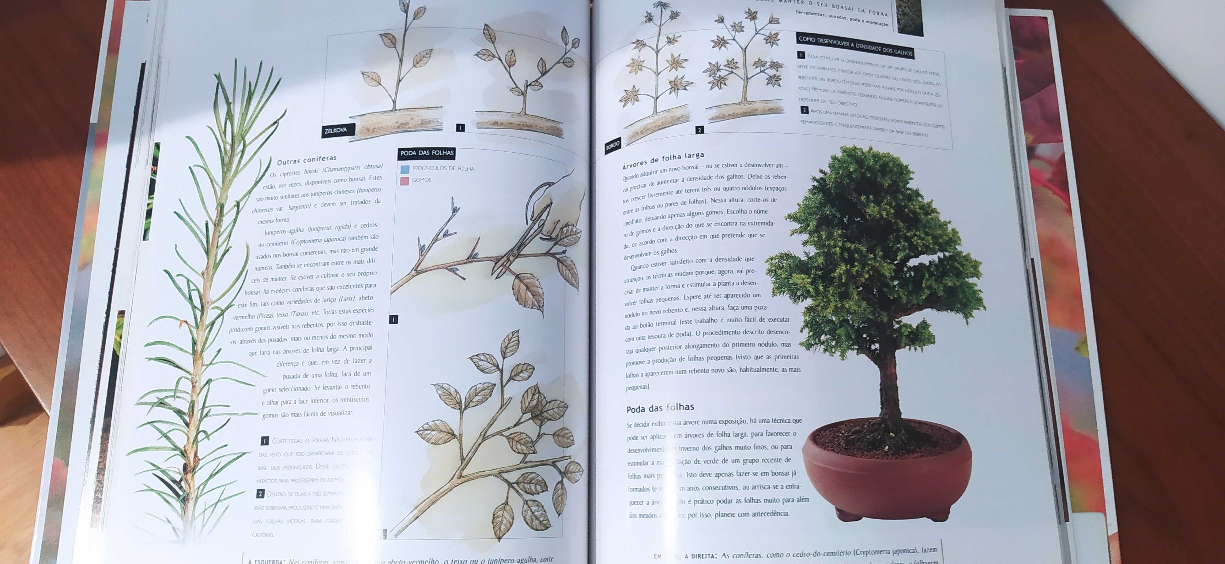 Livro: "Manual do Bonsai"