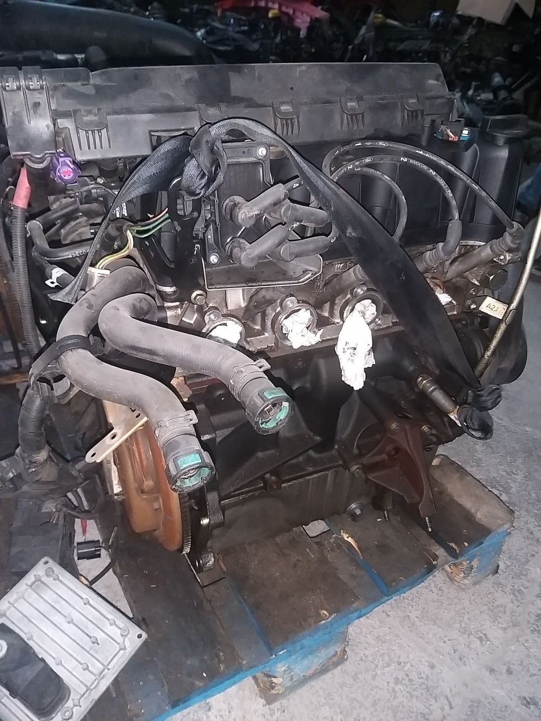 Motor Ford Fiesta 1.3 16V  A9JA