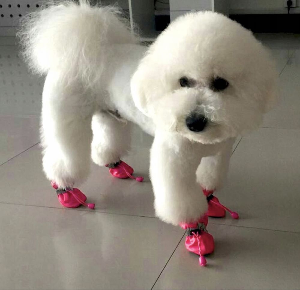 Nowe buty dla psa antypoślizgowe różowe rozmiar S