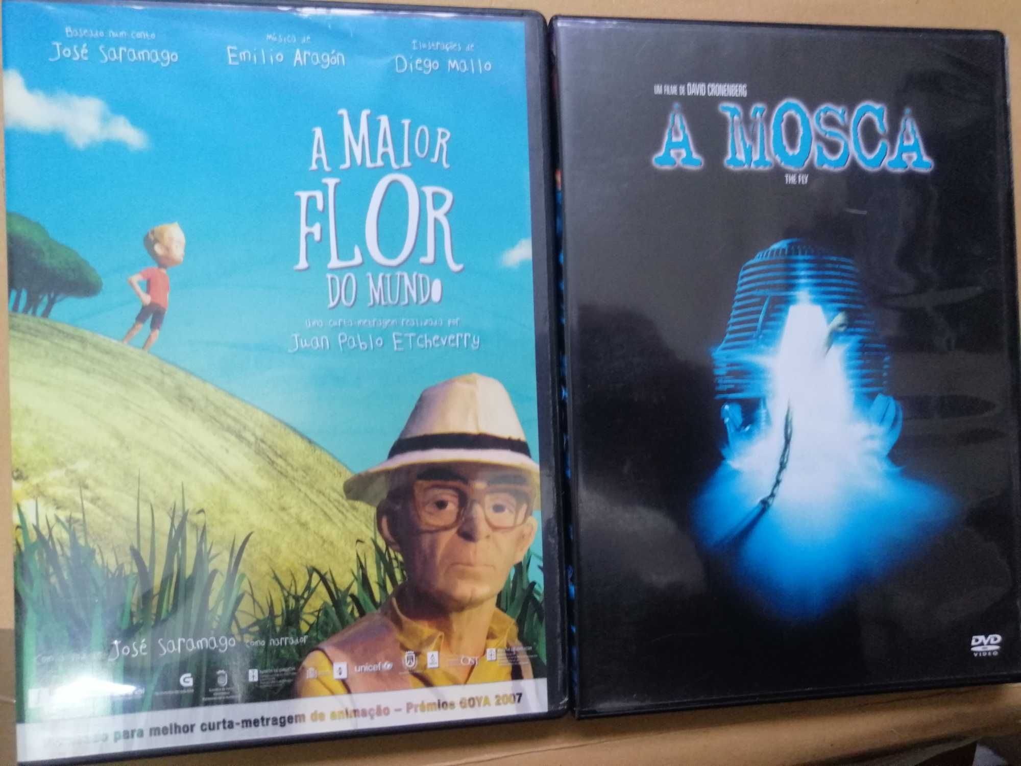 A maior flor do mundo Juan Pablo Etcheverry A mosca Cronenberg