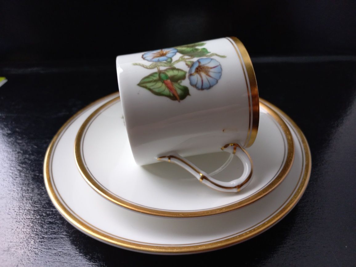 Filiżanka trio Royal Worcester